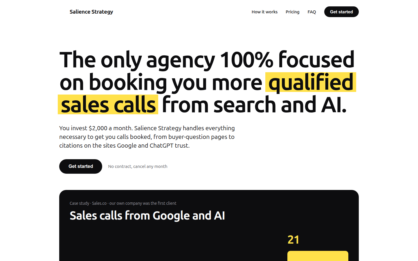 Salience Strategy home page: The only agency 100% focused on booking you more qualified sales calls from search and AI